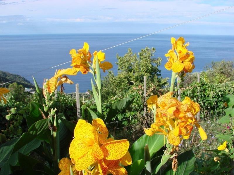 Case Vacanza Reggimonti Cinque Terre Bonassola Exterior foto