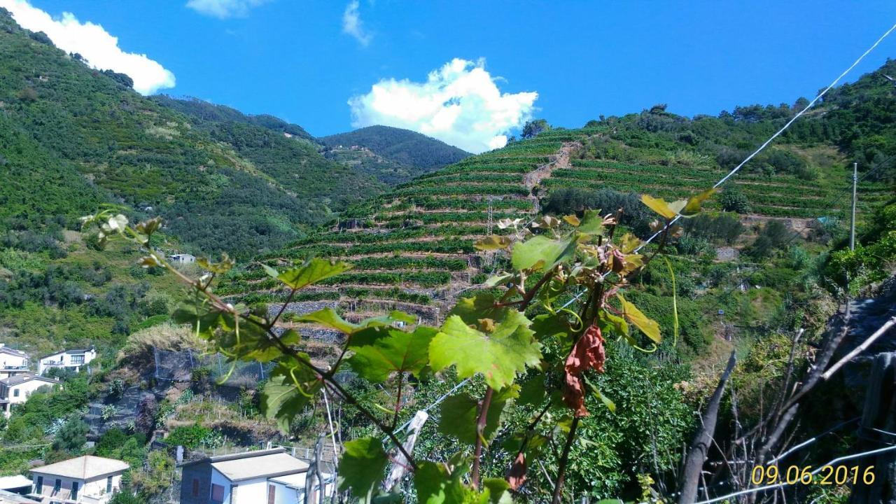 Case Vacanza Reggimonti Cinque Terre Bonassola Exterior foto