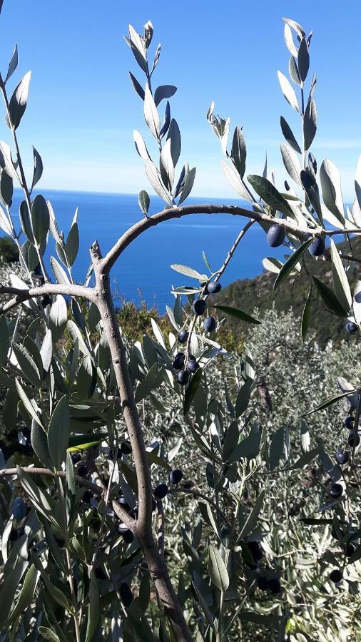 Case Vacanza Reggimonti Cinque Terre Bonassola Exterior foto
